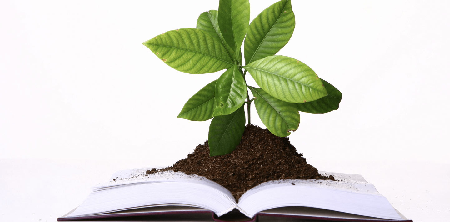 Companies and their internal growth strategies